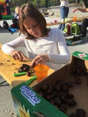 DPM Jurcek, kostanjev piknik, okt 2019, foto DPM Jurcek (10)